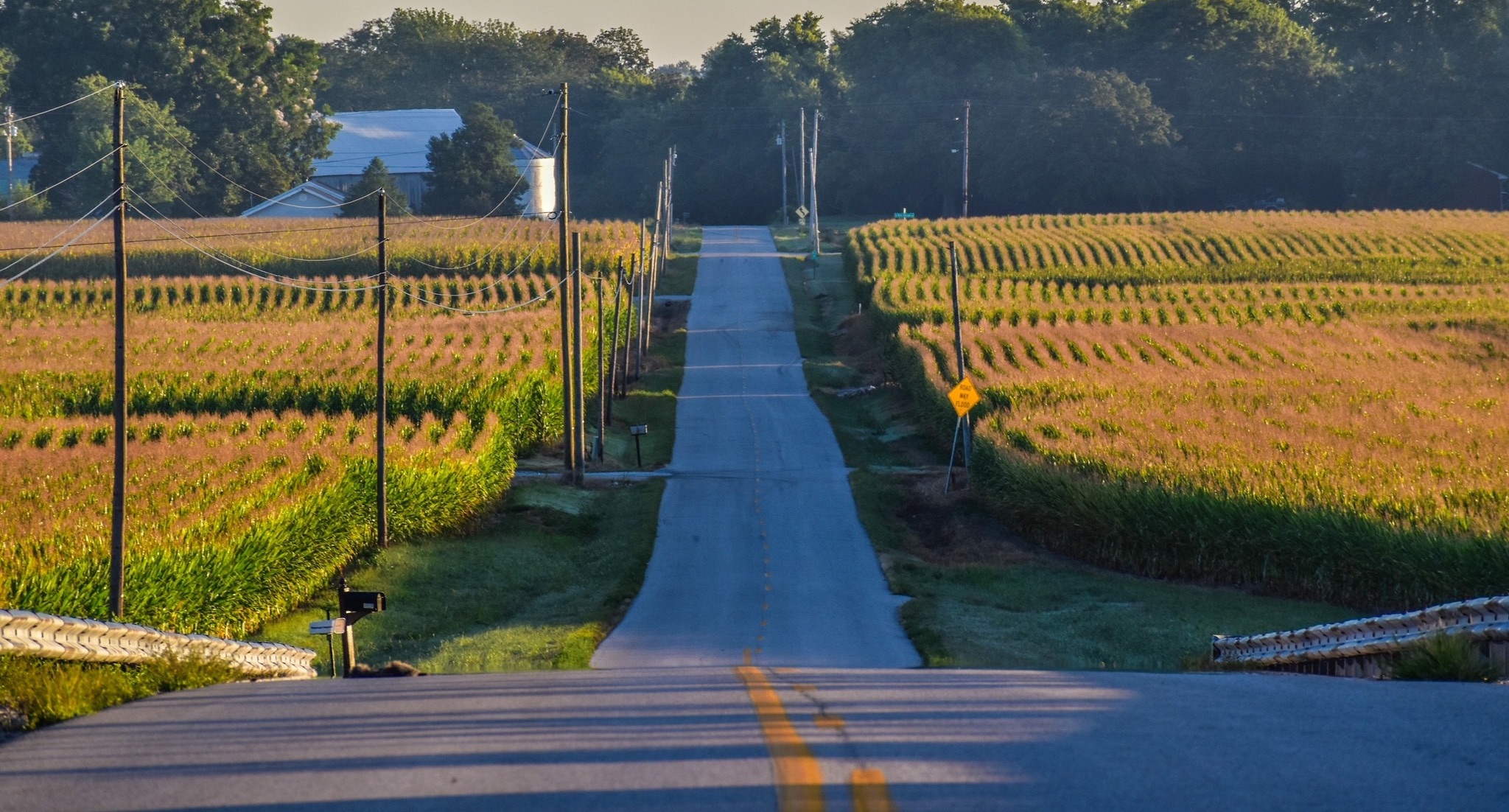 Daviess County Countryside